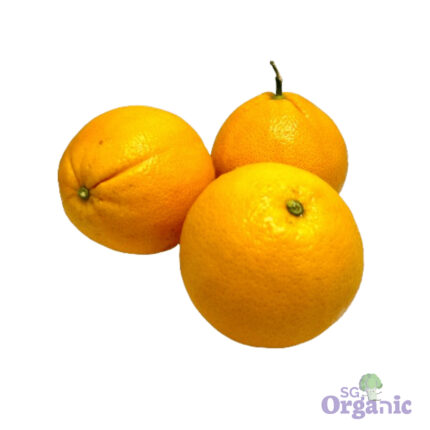 Organic Orange - Navel, medium (each) Australia