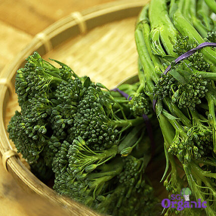 Organic Broccoli - Baby (bunch) Australia