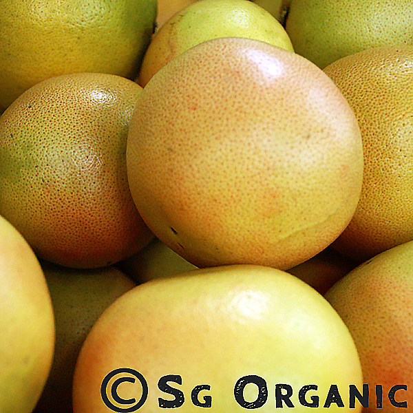 Tart tangy organic grapefruit