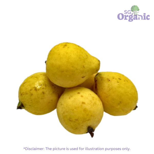Organic Guava (each)