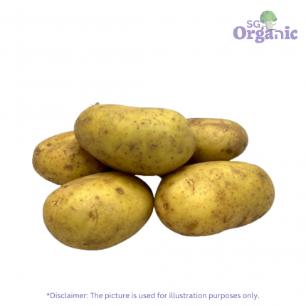 Organic Potato - Pontiac (500g)