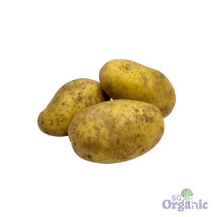 Organic Potato - Dutch Cream (500g) Australia