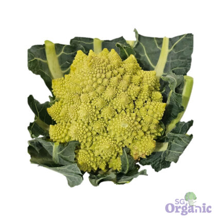 Organic Cauliflower - Romanesco (500g) Australia