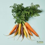 Organic Carrots - Dutch (250g) Australia