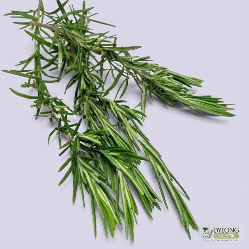 Rosemary彩ページ Organic Herbs - Rosemary (25g) Australia - SG Organic