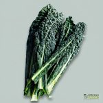 Organic Kale - Dino (400g) Australia