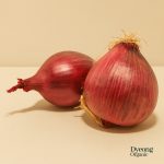 Organic Onions - Red (250g) Australia