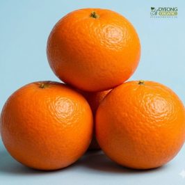 Organic Orange – Mandarin (each) Australia