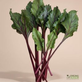 Organic Beetroot – Leaves (100g) Australia