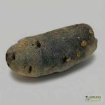 Organic Potato - Midnight Pearl (250g) Australia