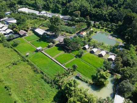 Green landscape of VIP Organic Farm