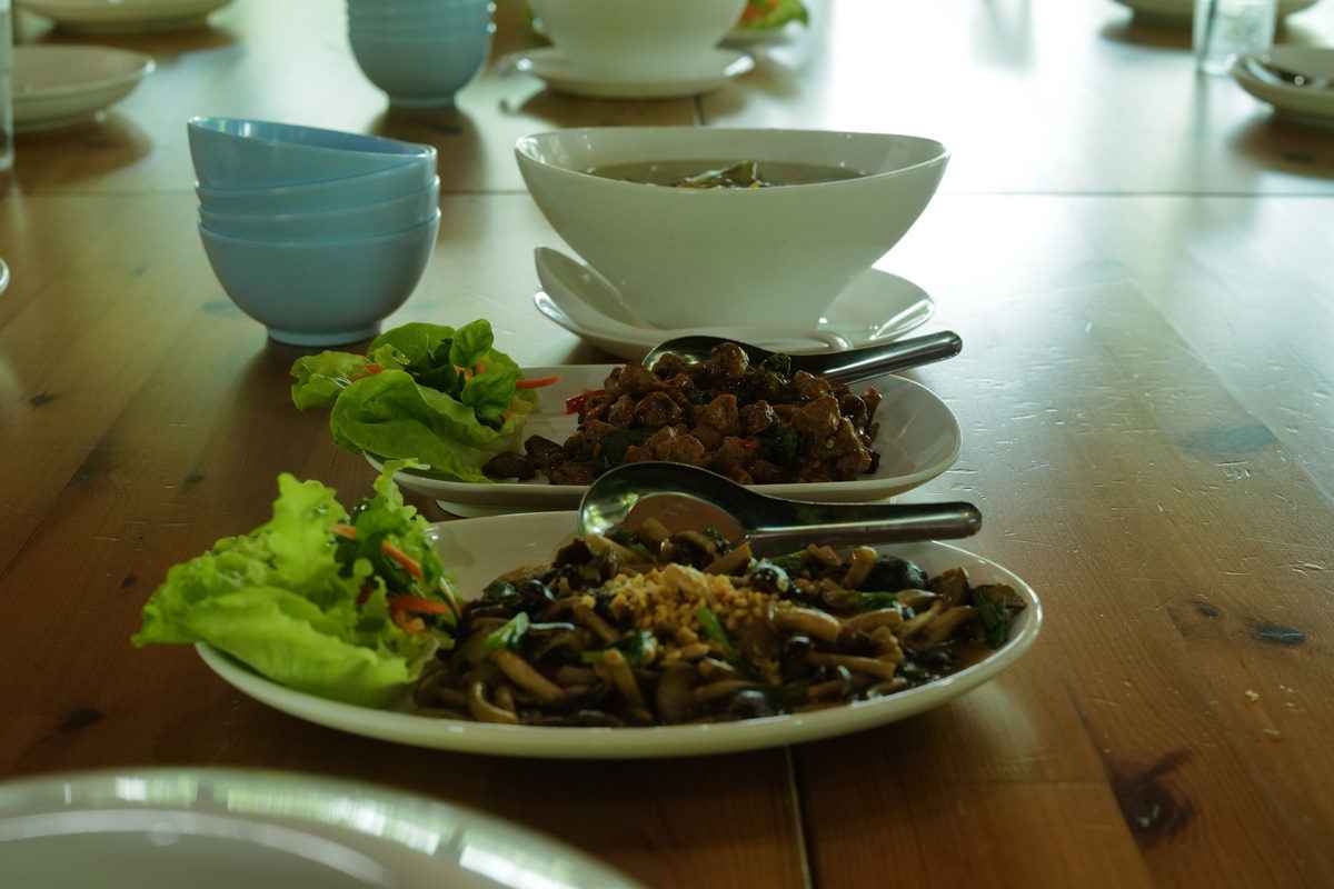 Fresh organic food served at the farm