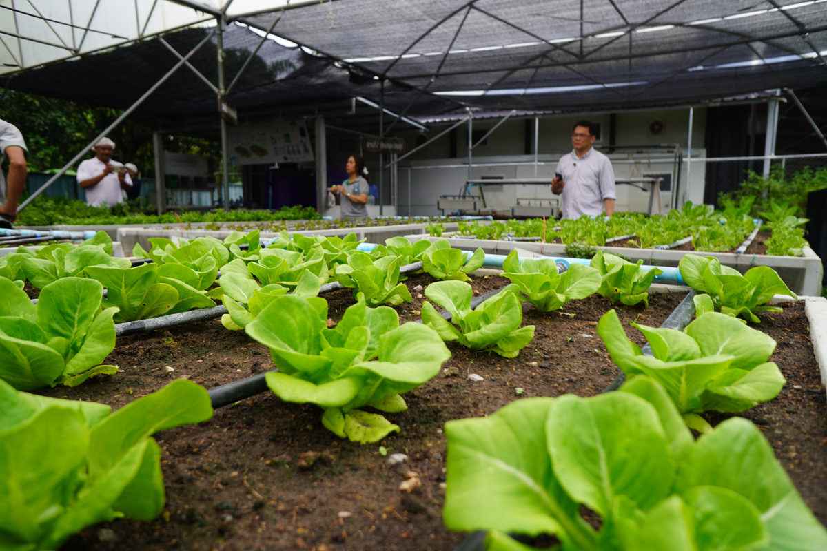 Eco-Living VIP Organic Farm Tour – Thailand | 20–22 November 2026