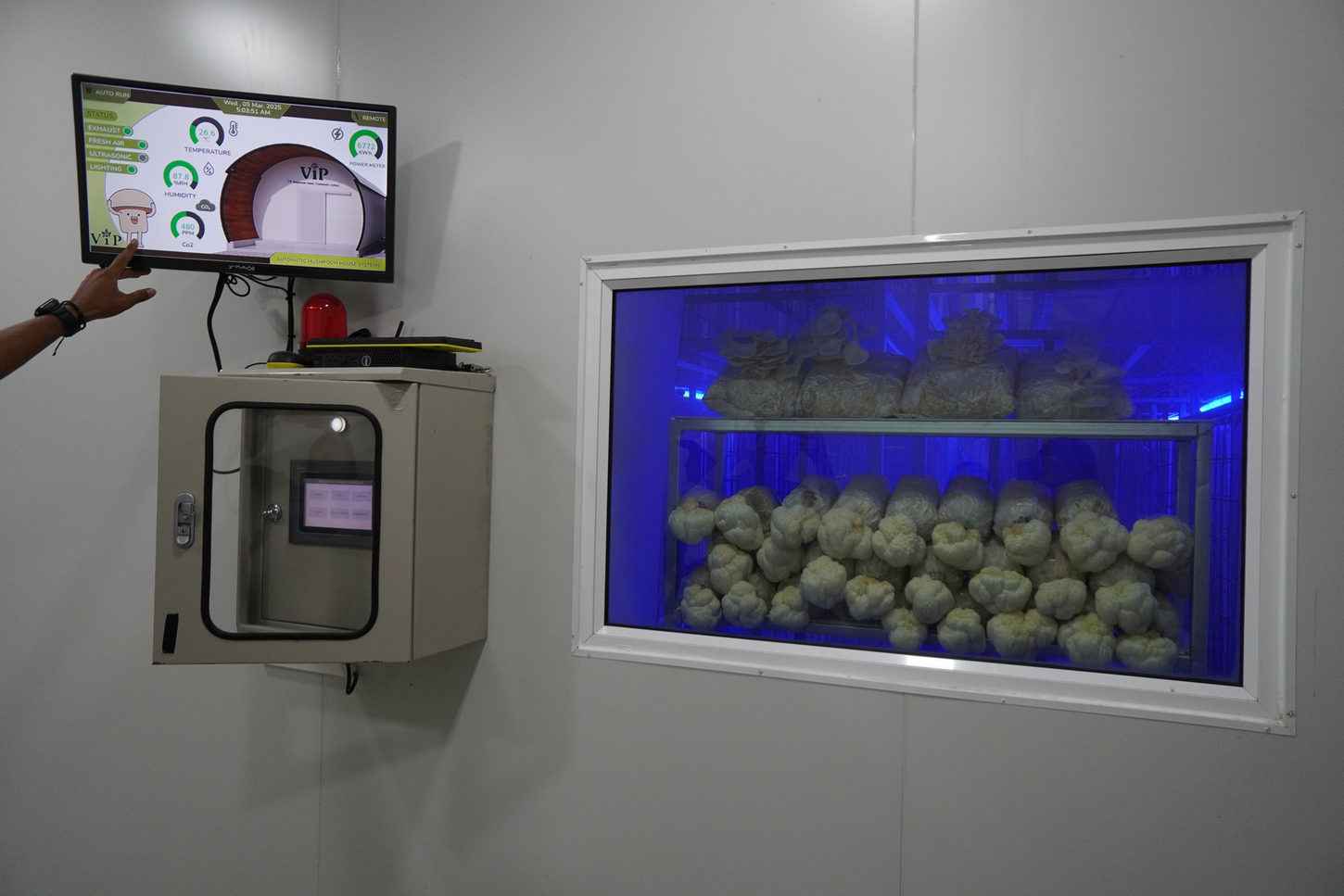 Mushroom incubation facility