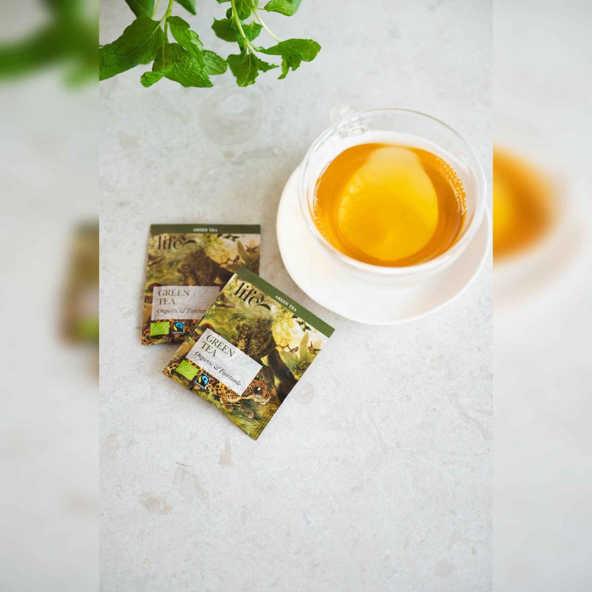 Green Tea 20 Bags | Life by Follis Organic Green Tea | Fairtrade