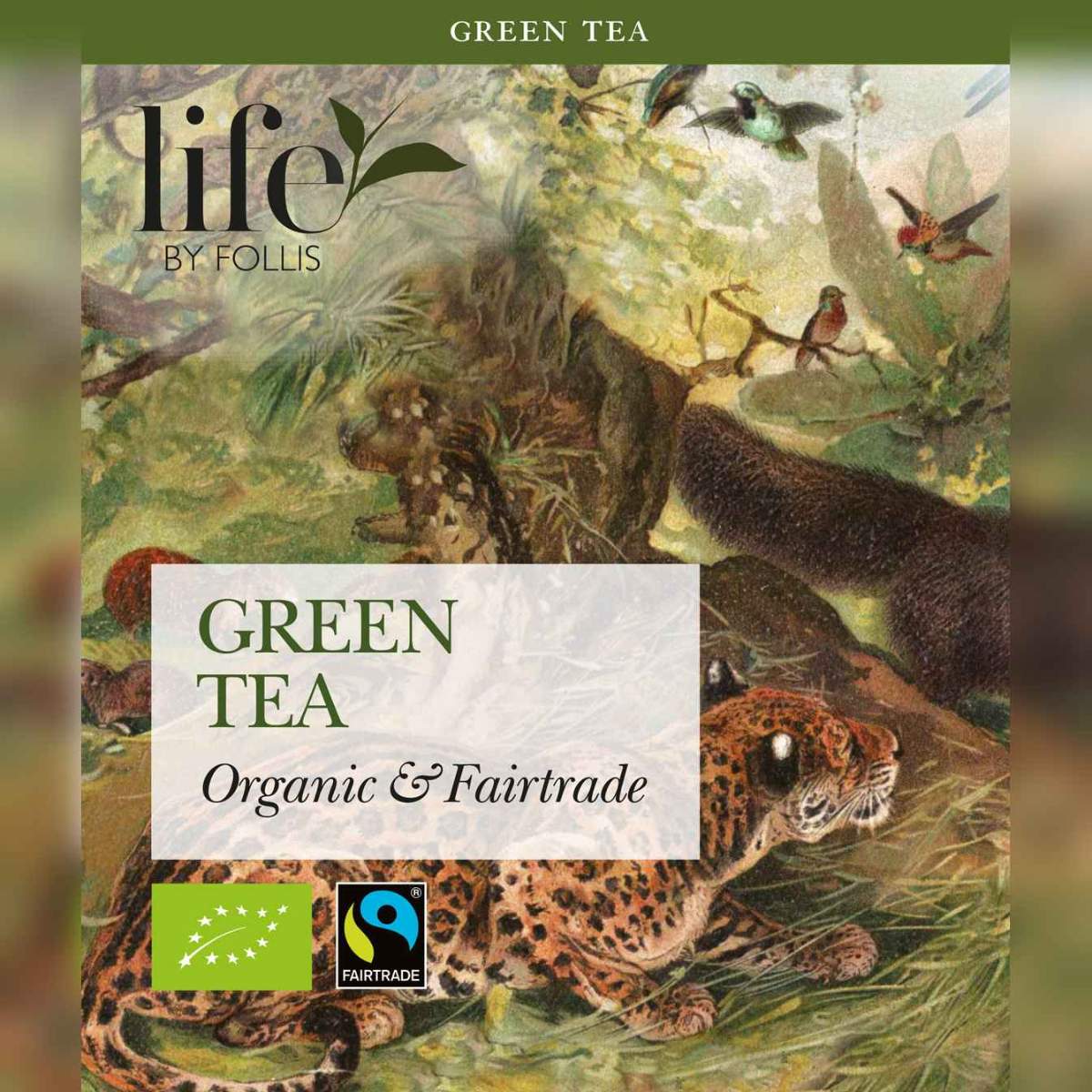 Green Tea 20 Bags | Life by Follis Organic Green Tea | Fairtrade