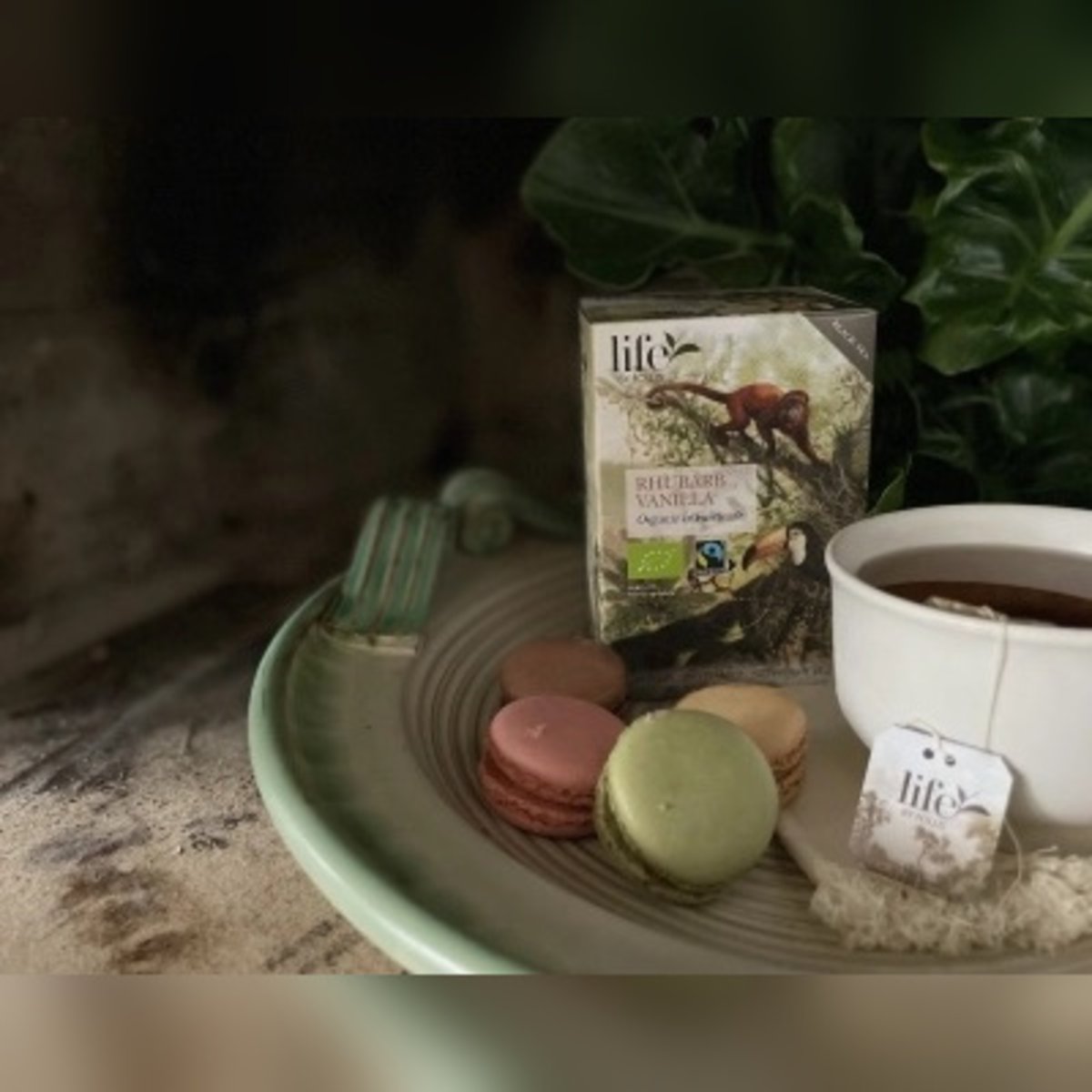 Rhubarb Vanilla Tea 20 Bags | Life by Follis Organic Black Tea | Fairtrade