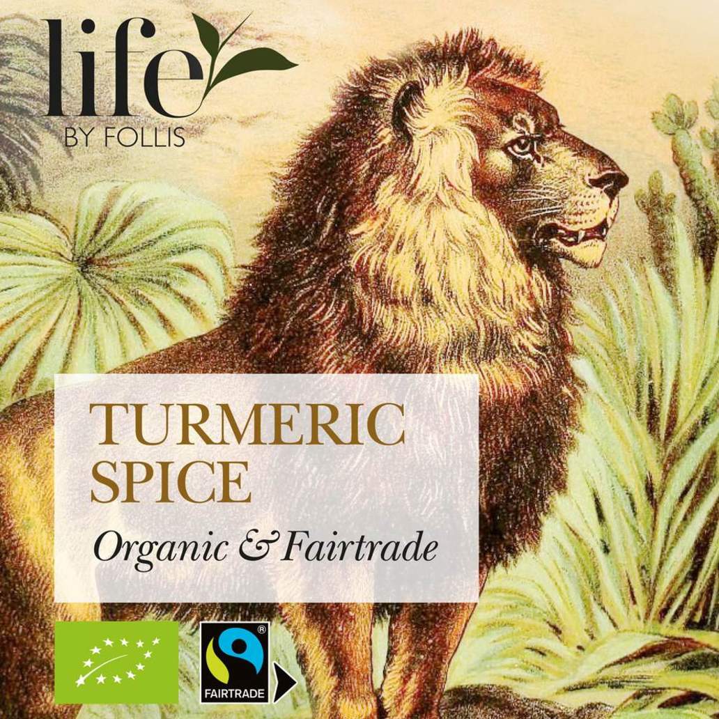 Turmeric Spice Tea 20 Bags | Life by Follis Organic Herbal Tea